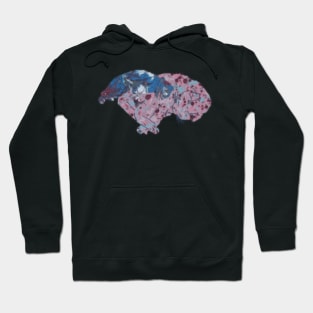 Sleeping Cats Hoodie